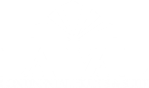 laval continental hotel logo footer